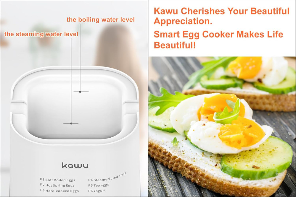 6-Function Egg Cooker for Hard Boiled Eggs, Egg Boiler with Timer, Egg Cooker fo