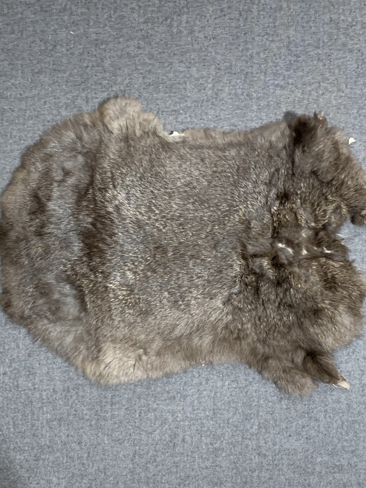 Printed Rabbit Pelt: Eagles