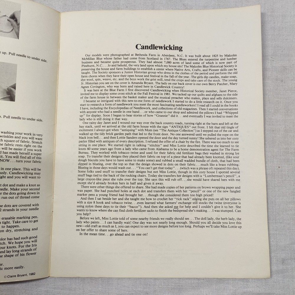Rare 1982 Vintage Berry Patch Candlewicking Design Patterns Booklet Clair Bryant