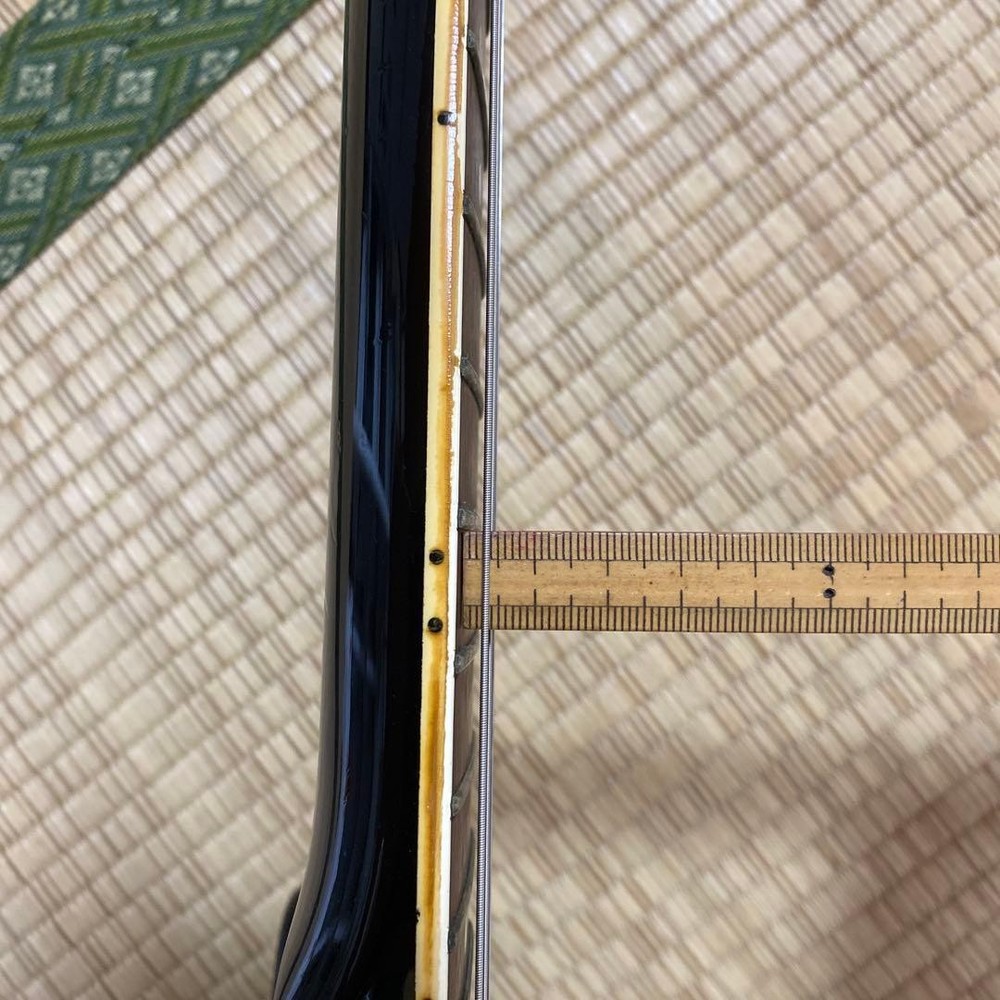 FERNANDES LIMITED EDITION Telecaster type Safe Packing!