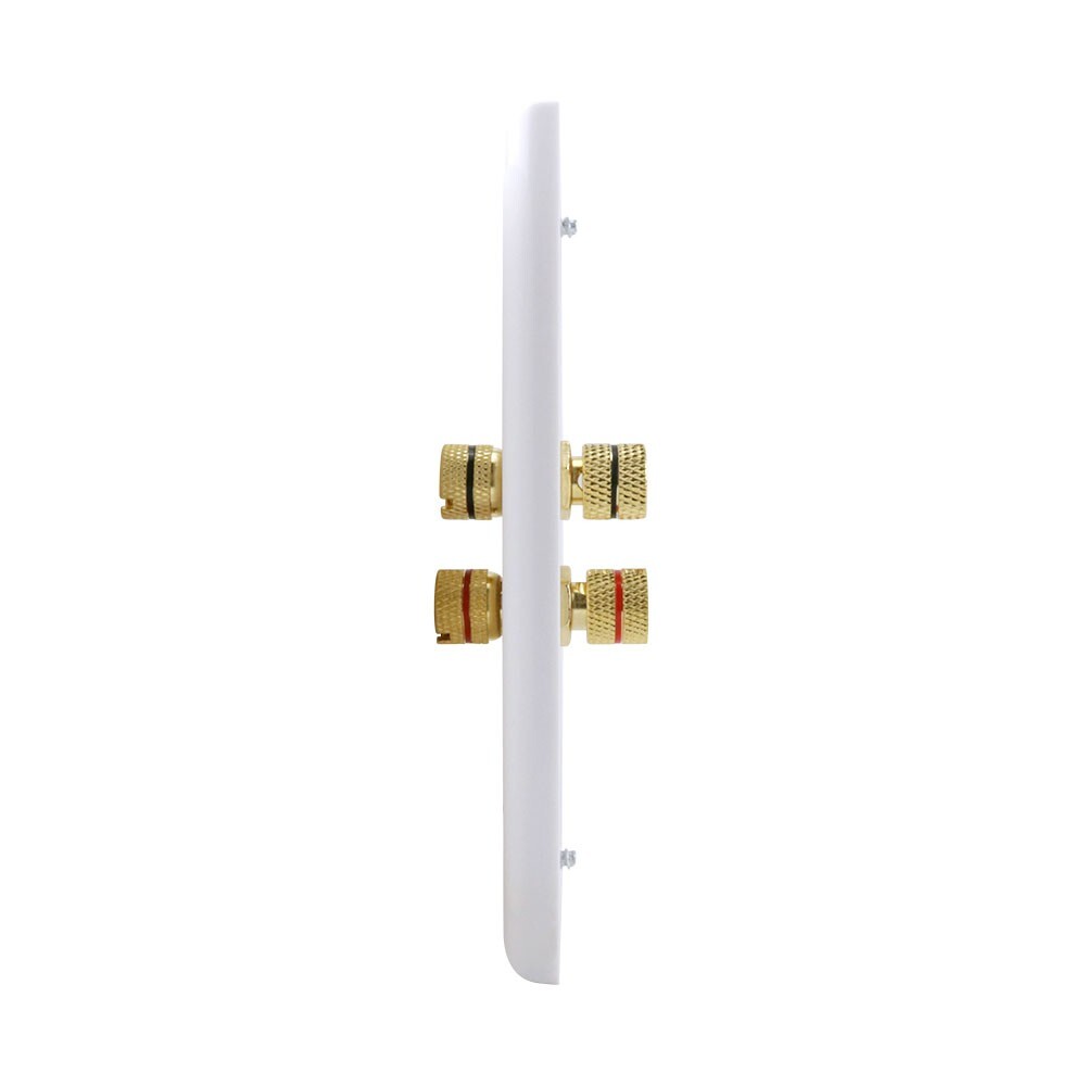 Construct Pro Decora Wall Plate Strap Insert (2 Binding Posts, White)