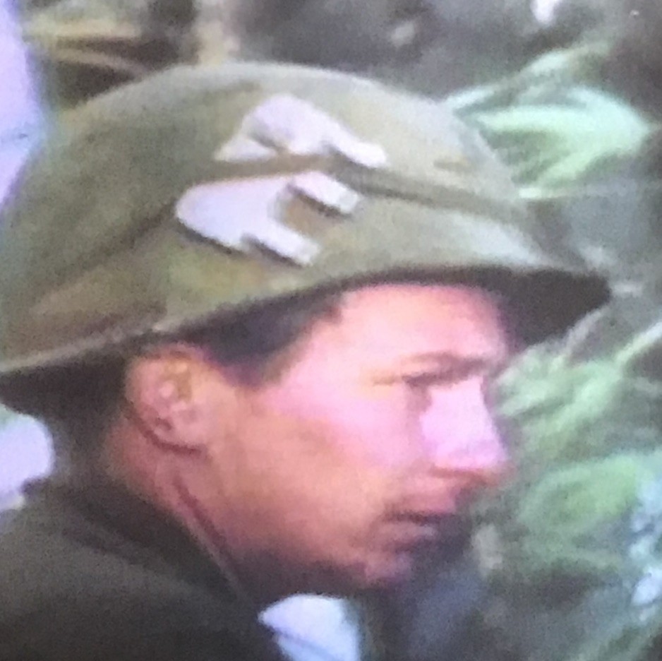 Vietnam War Era Wooden Elephant Puzzle Observed on US GI Helmets JAPAN #1