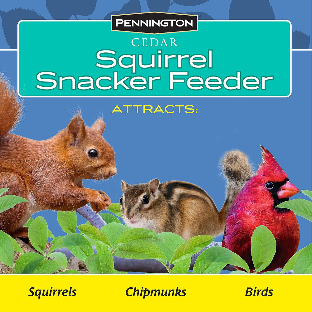 Cedar Squirrel Snacker Feeder, 2.75 LB Capacity
