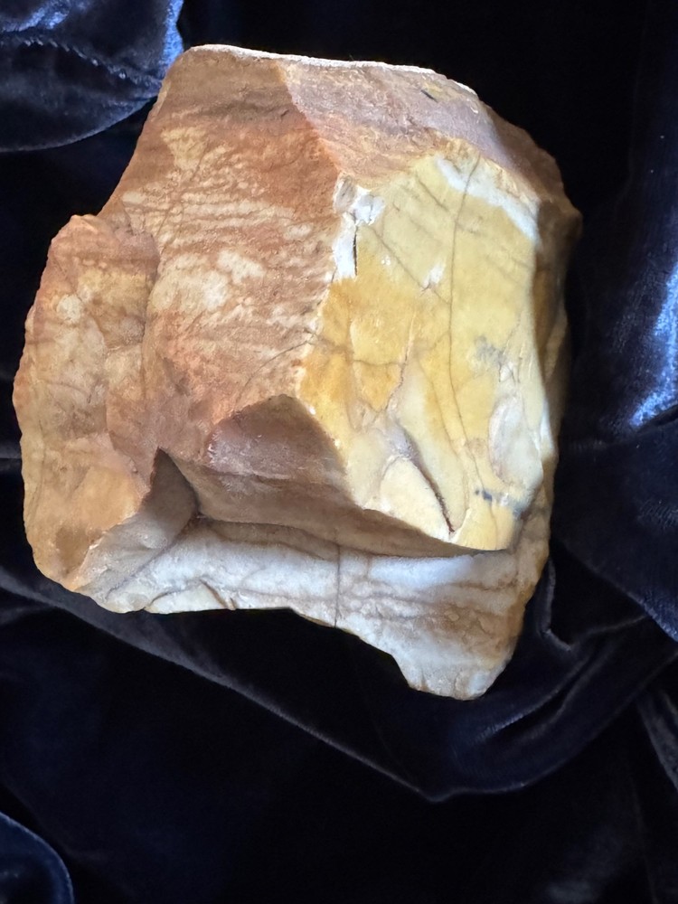 Petrified Wood