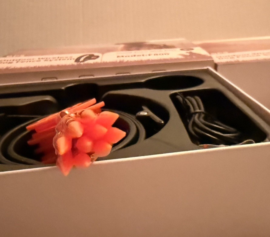 Wireless Dog Fence System