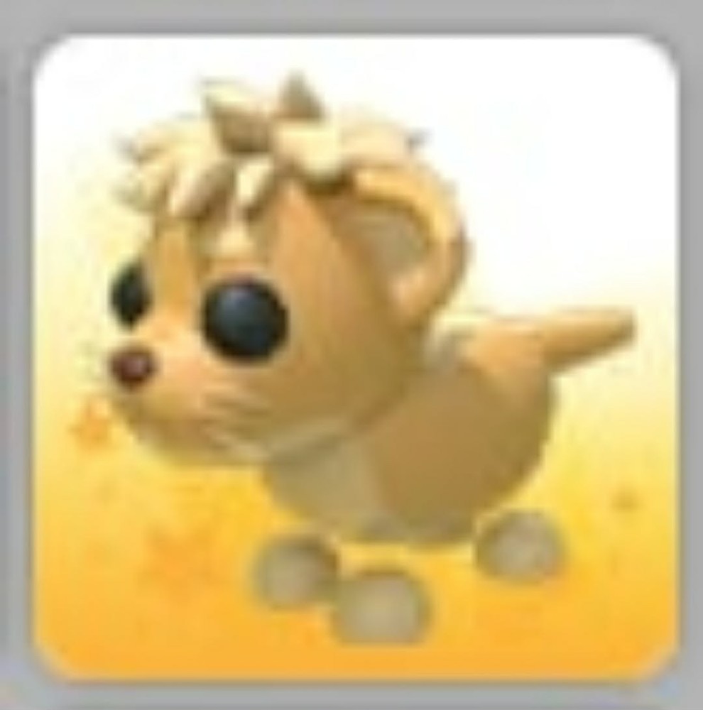 Lion Cub | Adopt Now