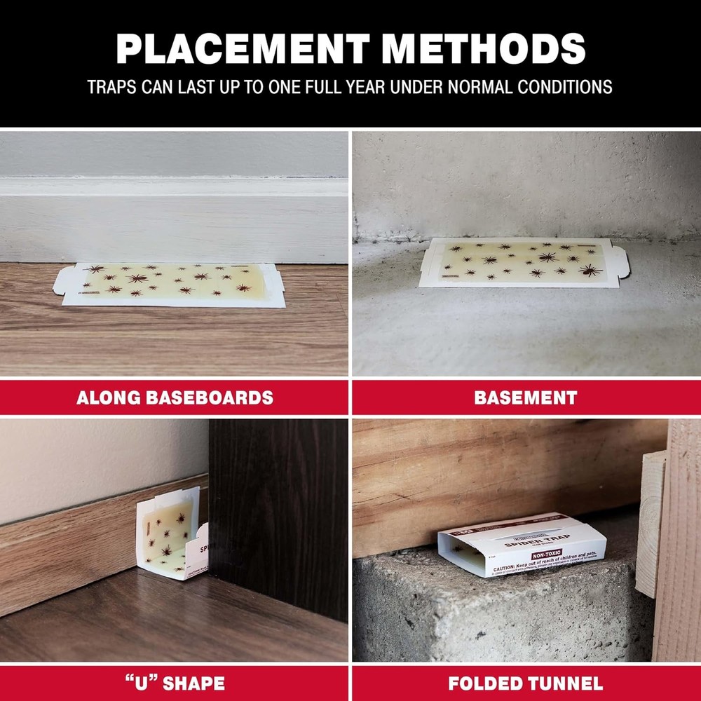 Catchmaster Spider Glue Board Traps