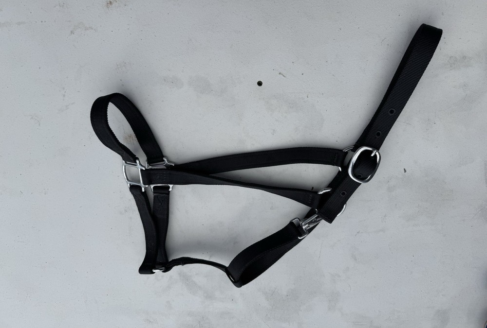 Nylon Horse Halter - Black  - Large
