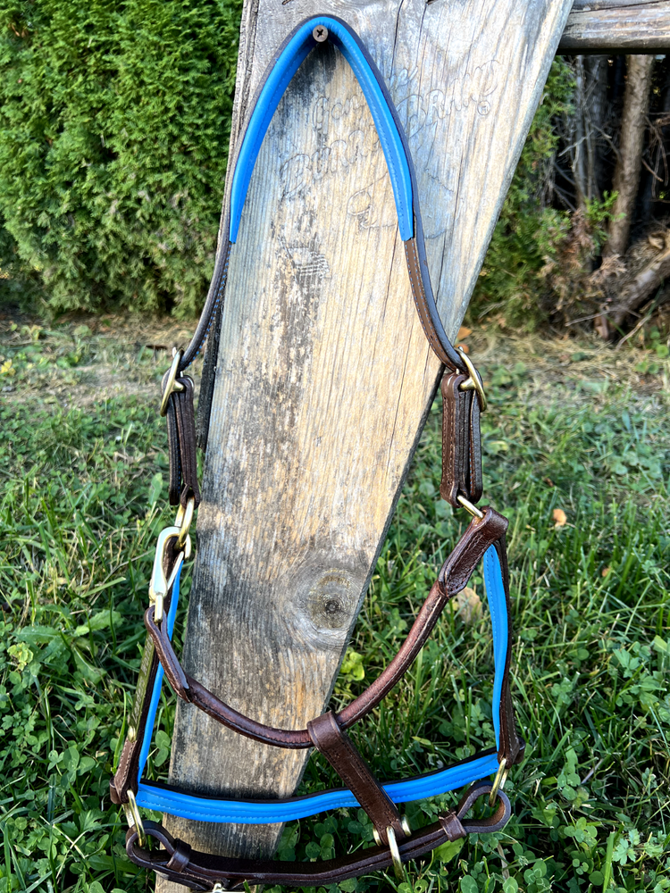 Leaders 3/4" Leather Halter Royal Blue Padding with Solid Brass Hardware