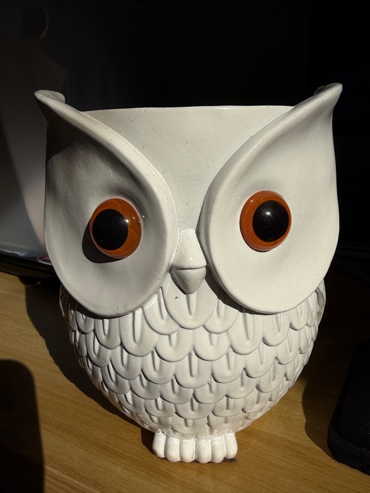 Owl Statue Smart Speaker Holder Stand- Google Home/Echo Dot