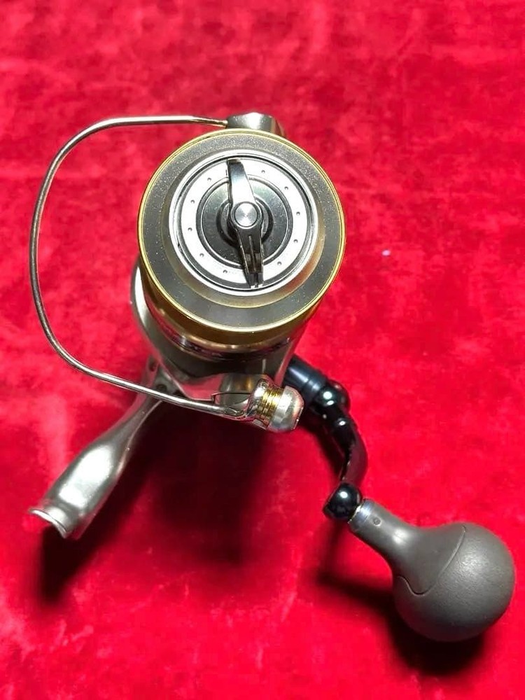 13 Biomaster SW 8000PG