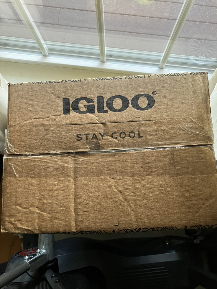 Green Day Dookie Igloo Cooler