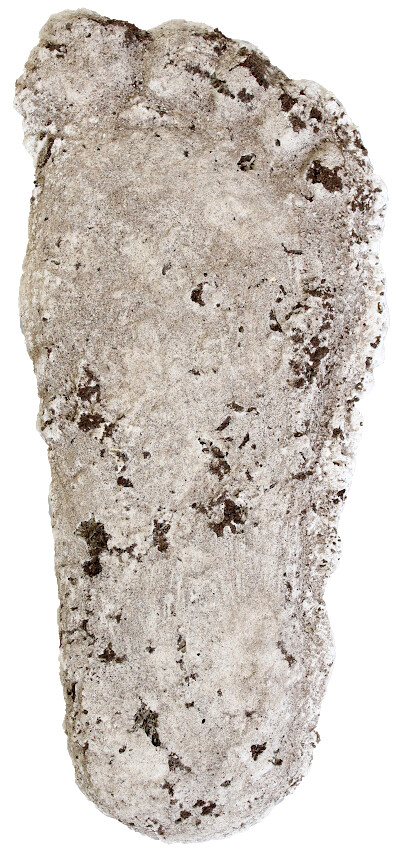 Arcane Artifacts Bigfoot Track Casting FULL SIZE Footprint Sasquatch NOT PLASTER