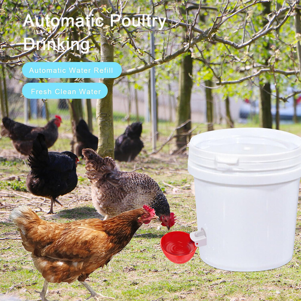 8X Poultry Water Drinking Cups Chicken Hen Plastic Automatic Drinker Feeder