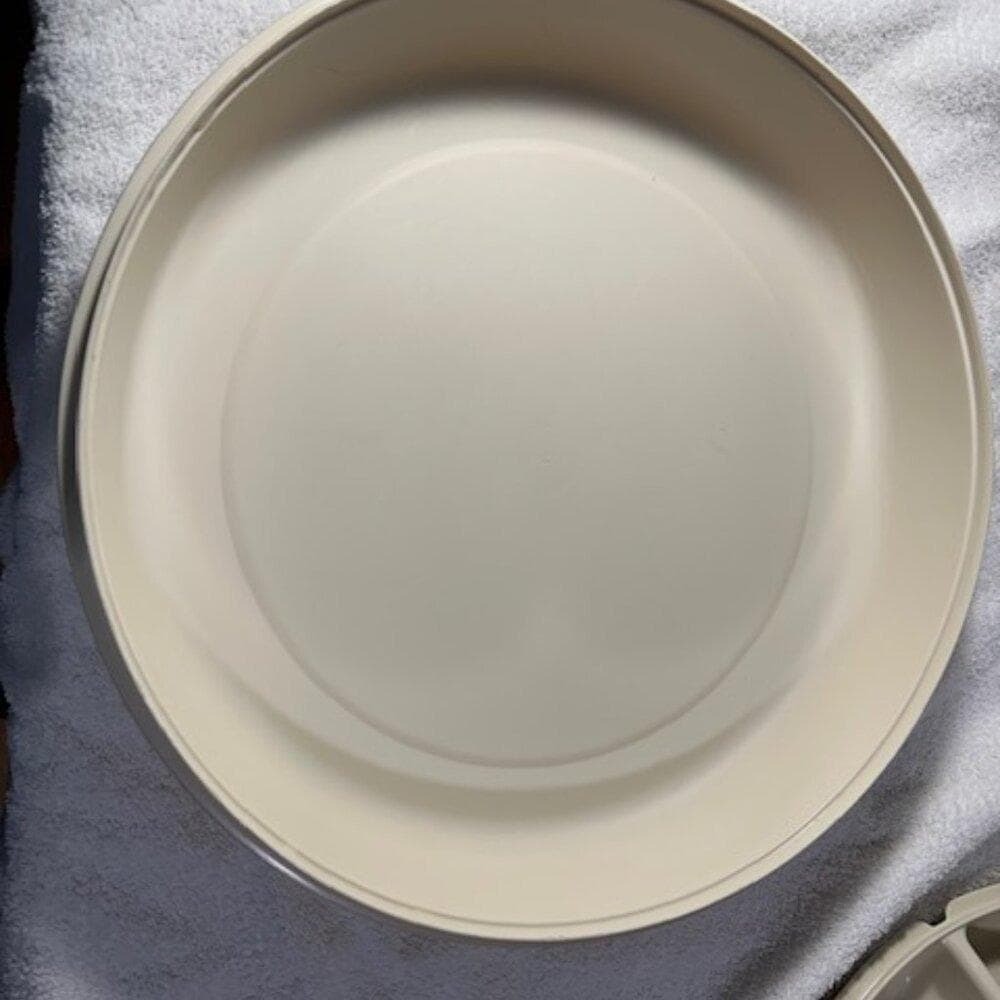 Vintage TUPPERWARE Divided serving tray w/ Cover Veggie Dips Chips etc