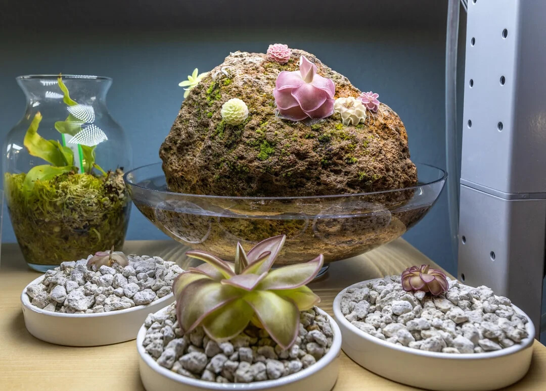 11 Gallons 3/8" Horticultural Pumice Rock Soil Amendment Succulents Cacti Bonsai