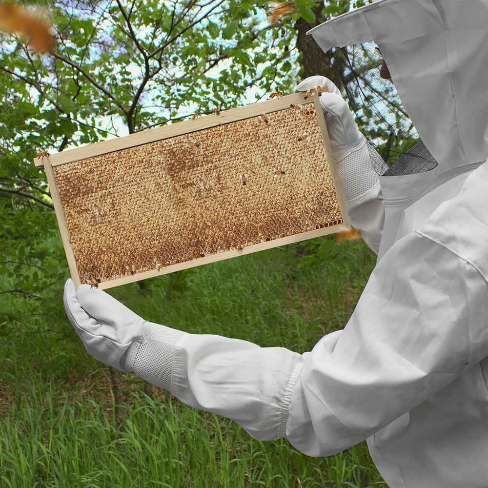 10-Pack Beehive Deep Frame Kit for Langstroth Beekeeping - Unassembled & Durable