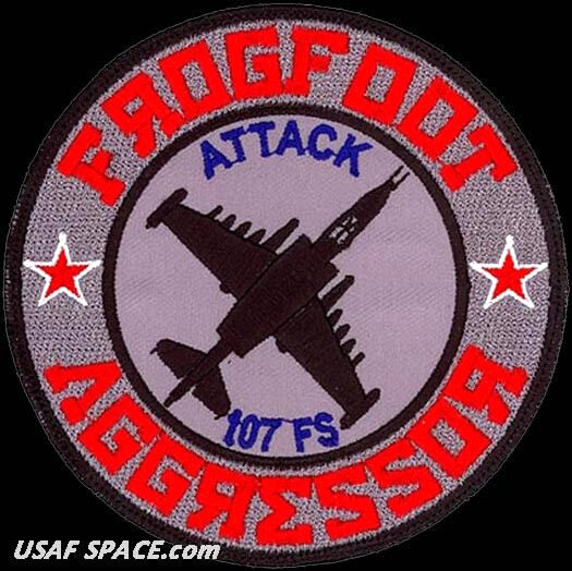 USAF 107TH EXPEDITIONARY FIGHTER SQ - FROGFOOT AGGRESSOR - ORIGINAL PATCH