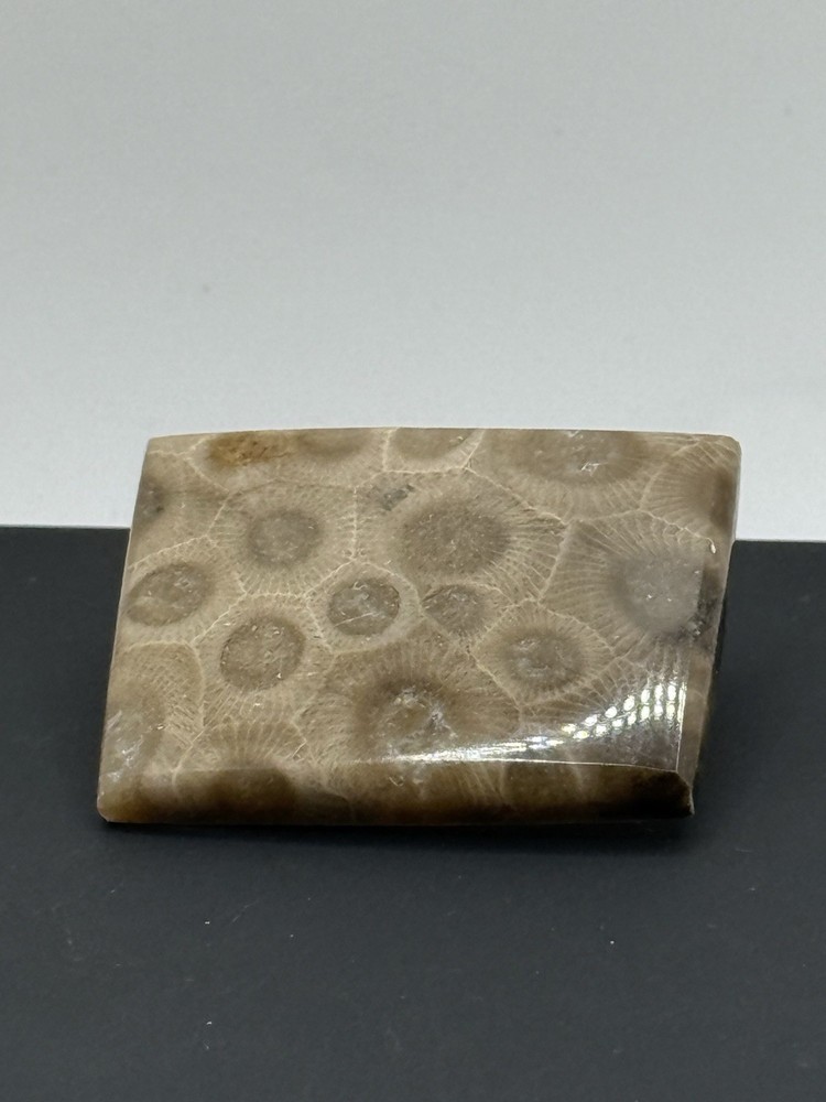 Vintage Petoskey Stone Bolo Tie Square Shape