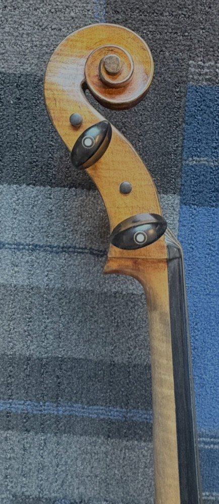 Tomasucci Cigno Old Italy 4/4 Cello