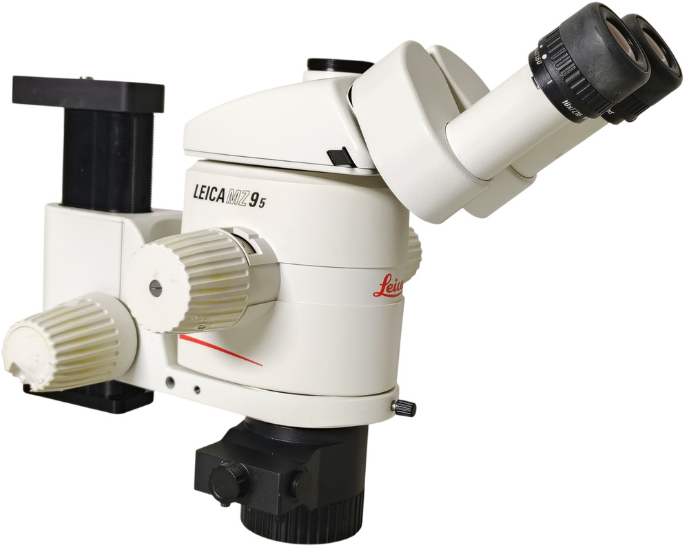 Leica MZ95 Stereo Microscope