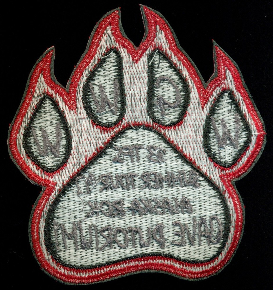 USAF 13th Tactical Fighter Squadron 2017 Alaska Patch K-11