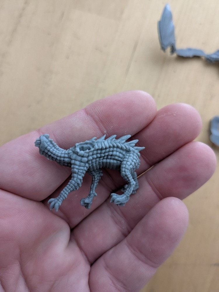 Reaper Bones Young Dragon