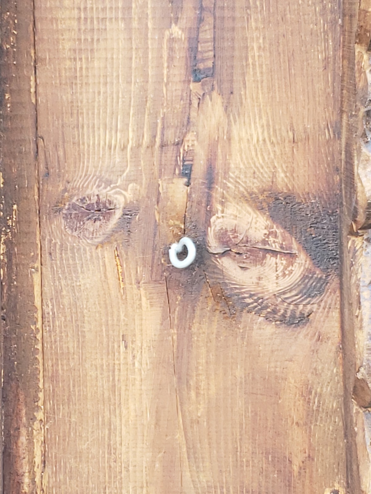 One of a kind 6' / 72lbs. CIGAR STORE INDIAN hand carved from oak