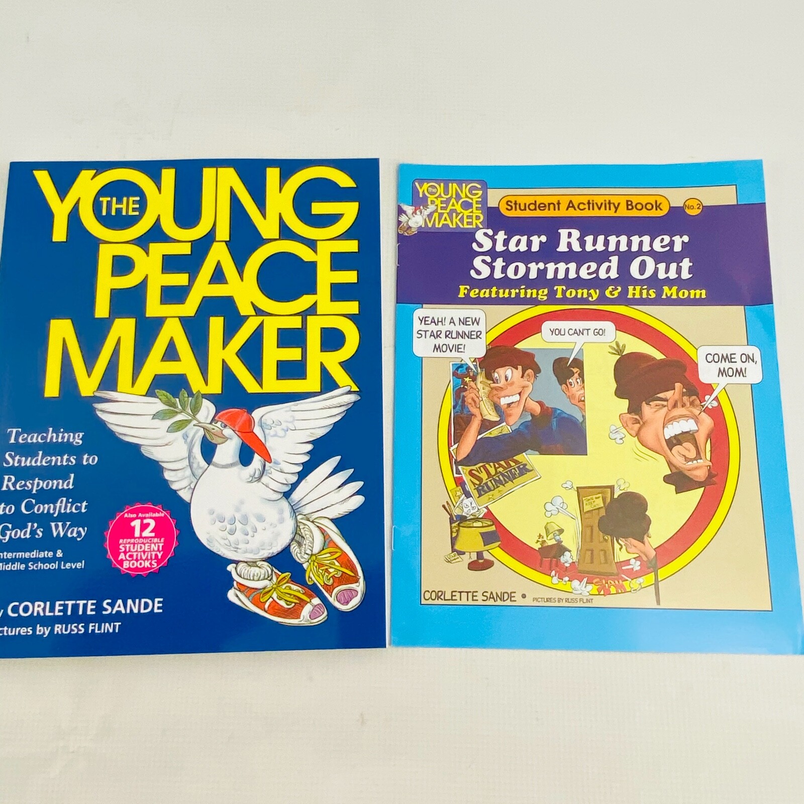 Youth Religious Education 30 Book Lot Youth Ministry Leader Director Religion