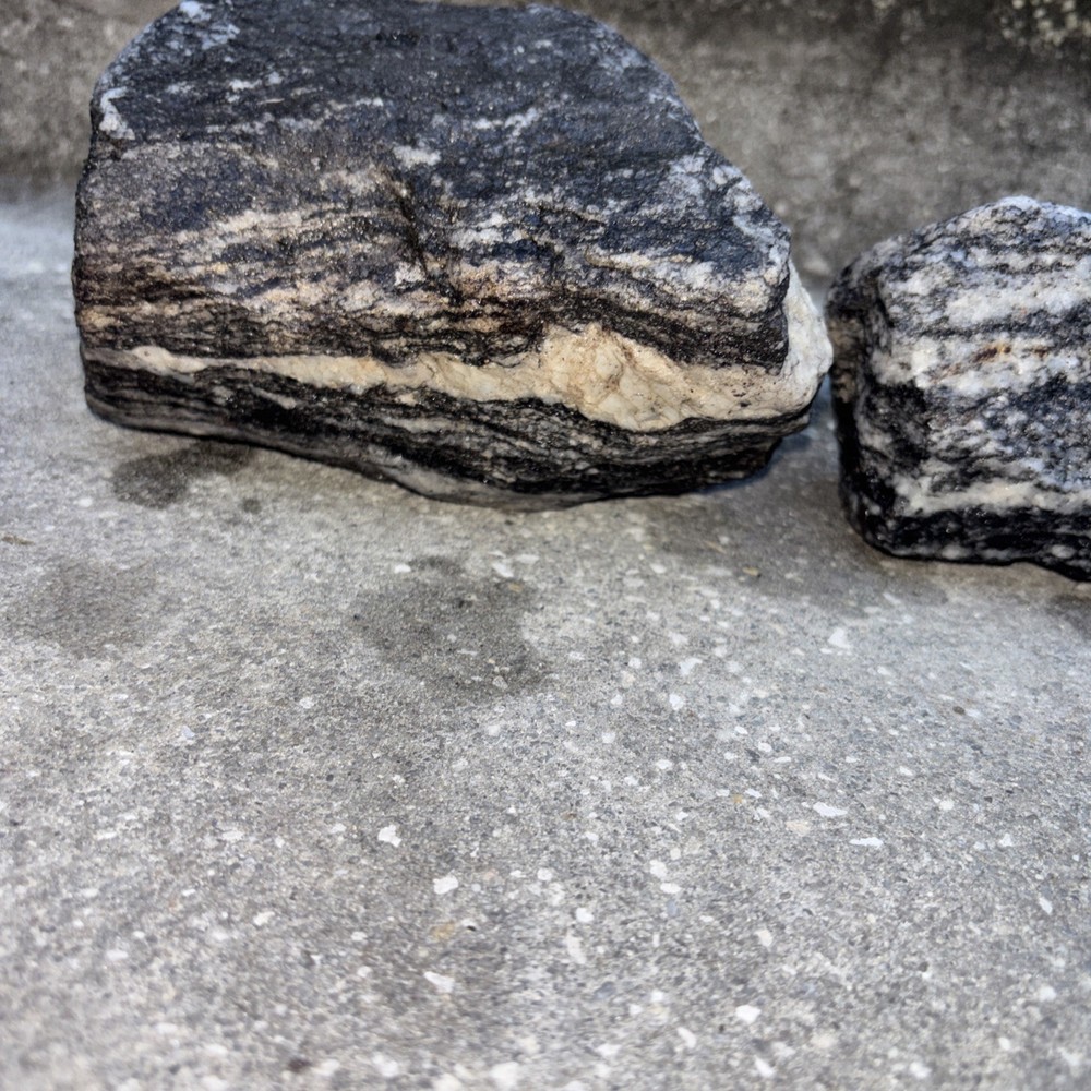 Gneiss Excellent Examples