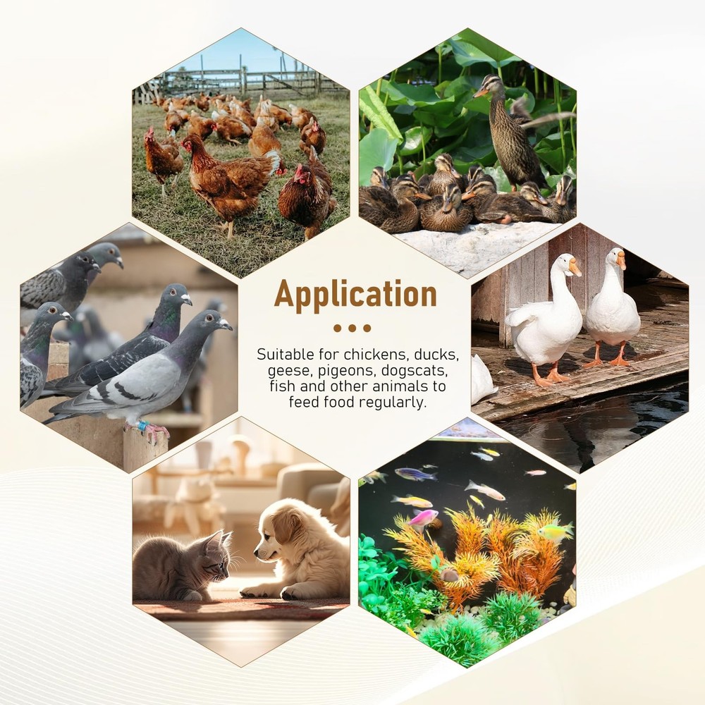 Timed Automatic Chicken Feeder and Duck Feeder, Timed Poultry Feederer Great ...