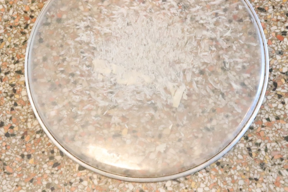 Slingerland 13" Tom Tom Batter Drum Head Vintage