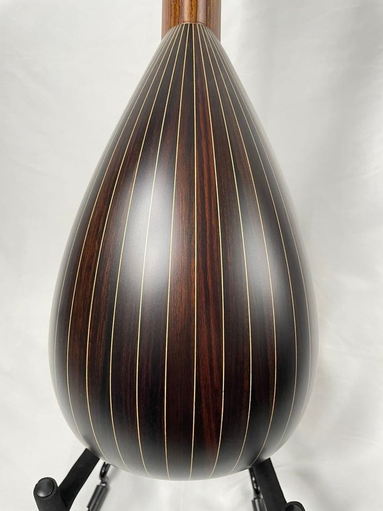 ASTURIAS MS-1bis mandolin with case