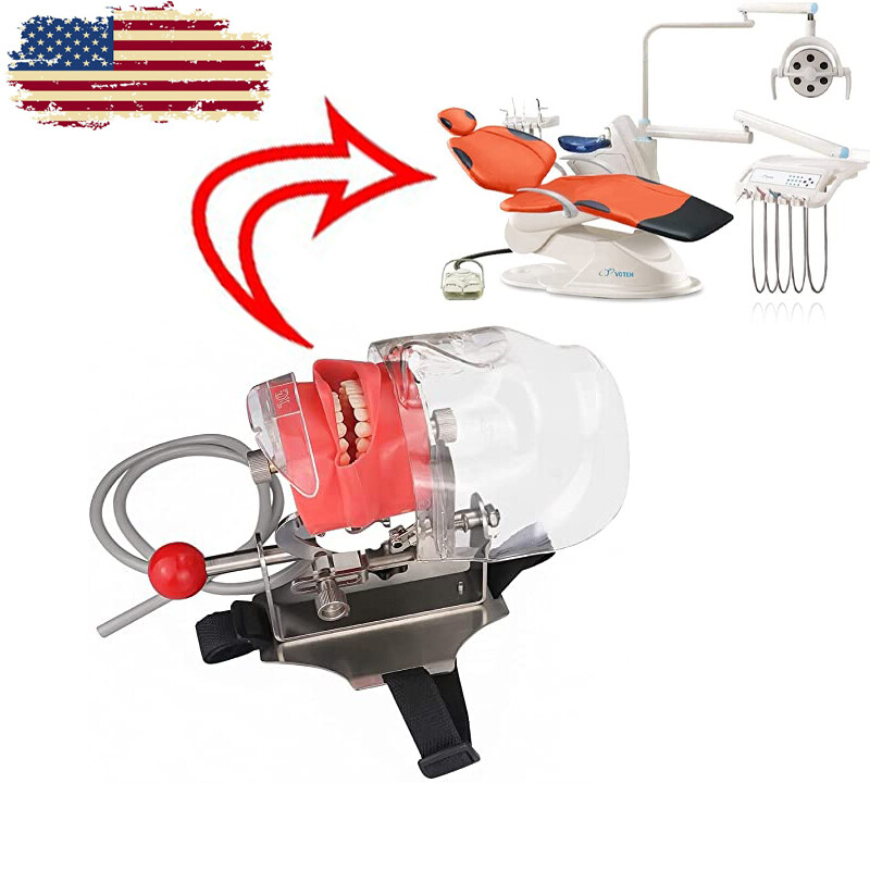 USA Detachable Dental Simulator Phantom Head Model For Dentist Teaching Practice