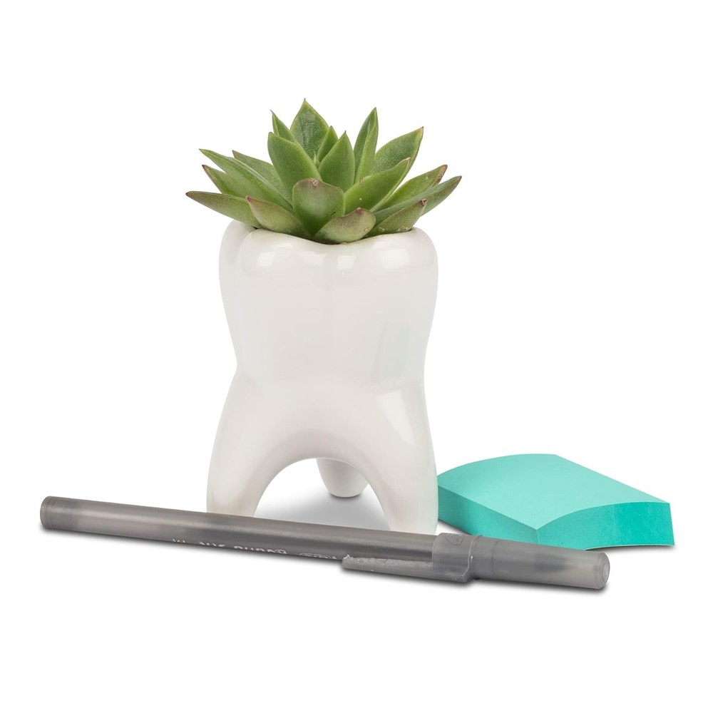 Amplifier Bass Control Knob