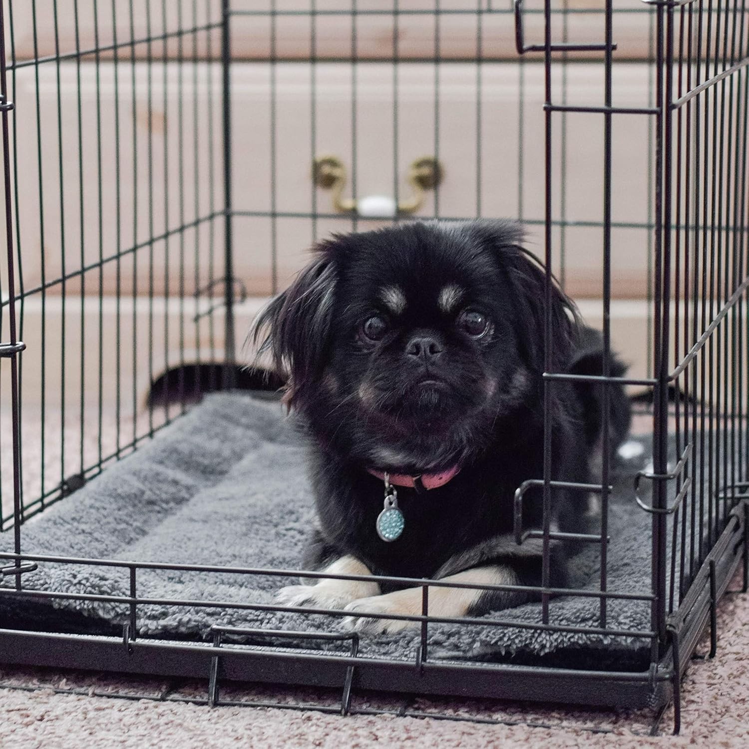 Reversible Heated Cat & Dog Bed Mat - Machine Washable 21x17