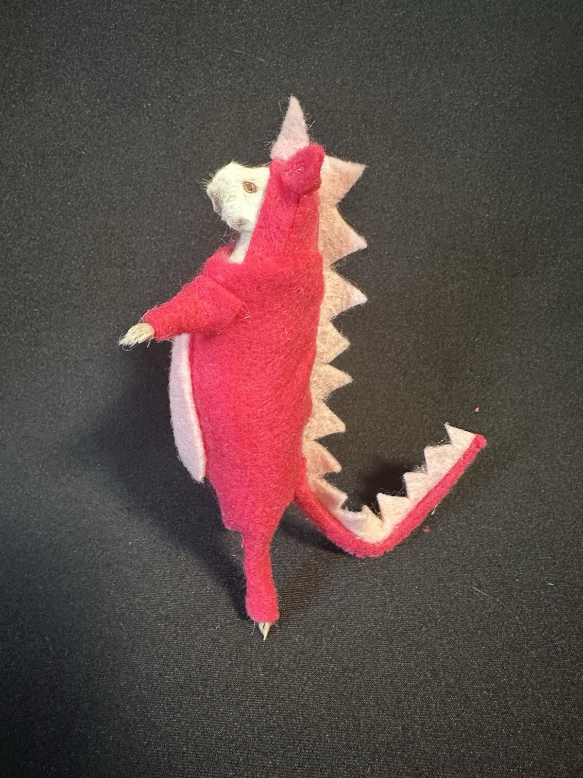 Taxidermy Mouse Dinosaur Mouse Oddities Curiosities Taxidermy Art