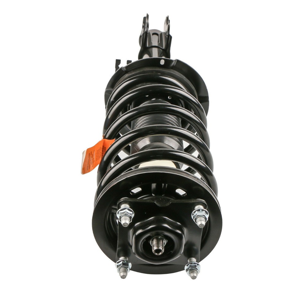 Front Complete Shocks Struts For 2001-2012 Ford Escape 05-11 Mercury Mariner