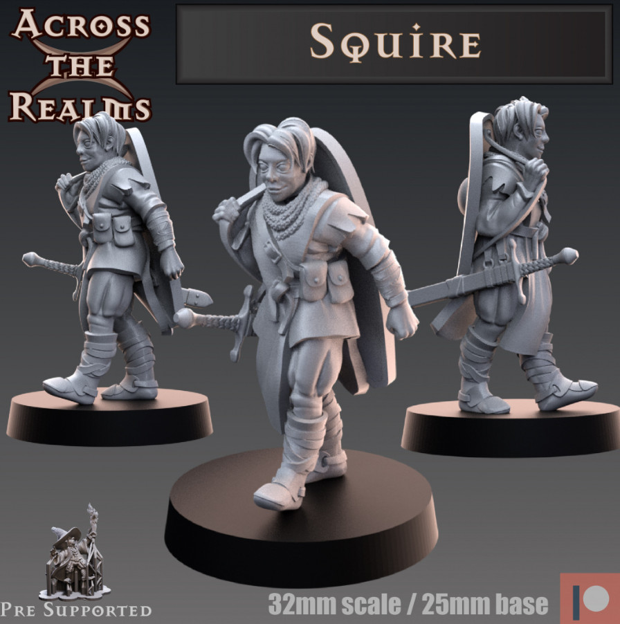 DnD The Essentials MPC`s collection of 10 models