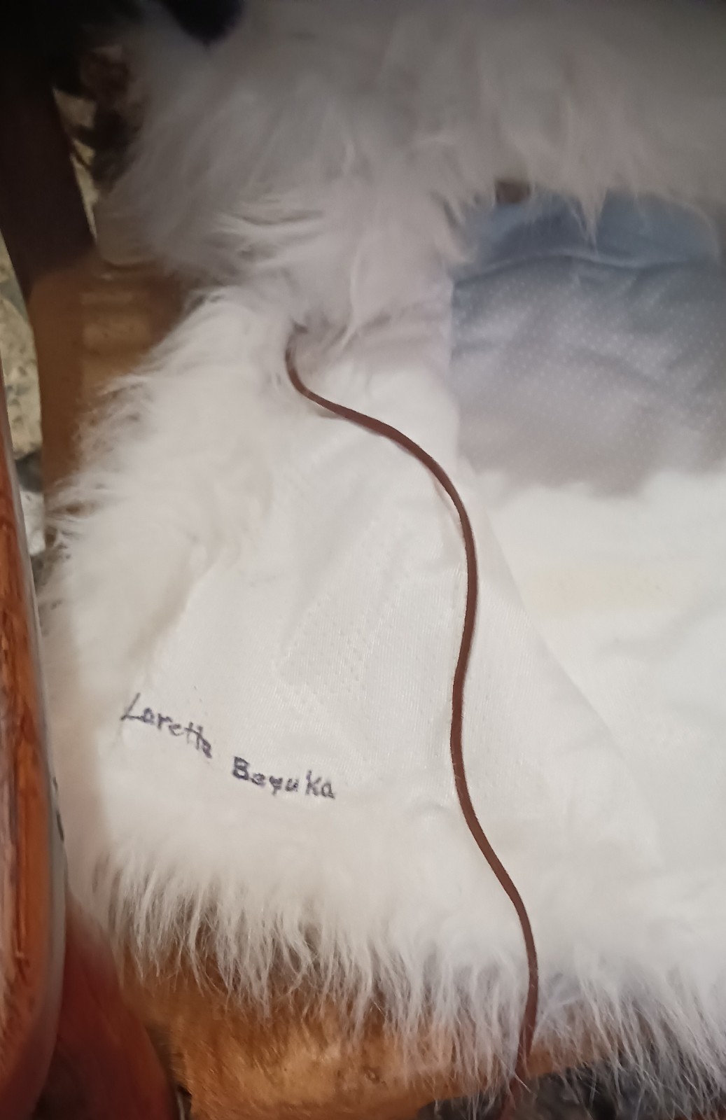 *AWESOME NATIVE AMERICAN WHITE BUFFALO HEAD DRESS LORETTA BEYUKA NICE HTF !*