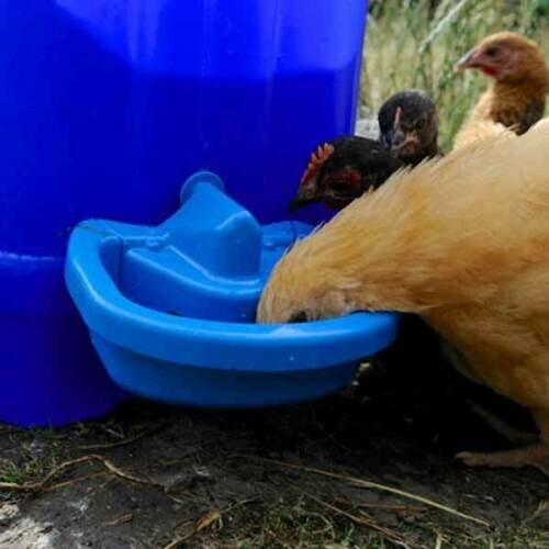 Maxicup Drinker Automatic Chicken Waterer Cup for Poultry