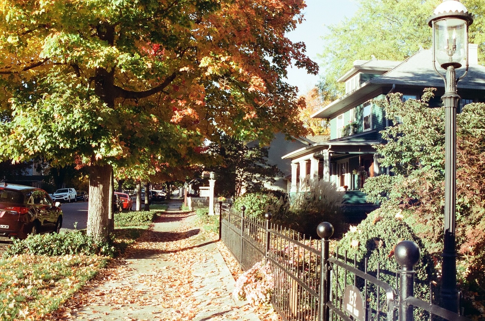 Cyberpunk 400D 36 exp C41 35mm Color Negative Film NO REMJET Kodak Vision3 250D