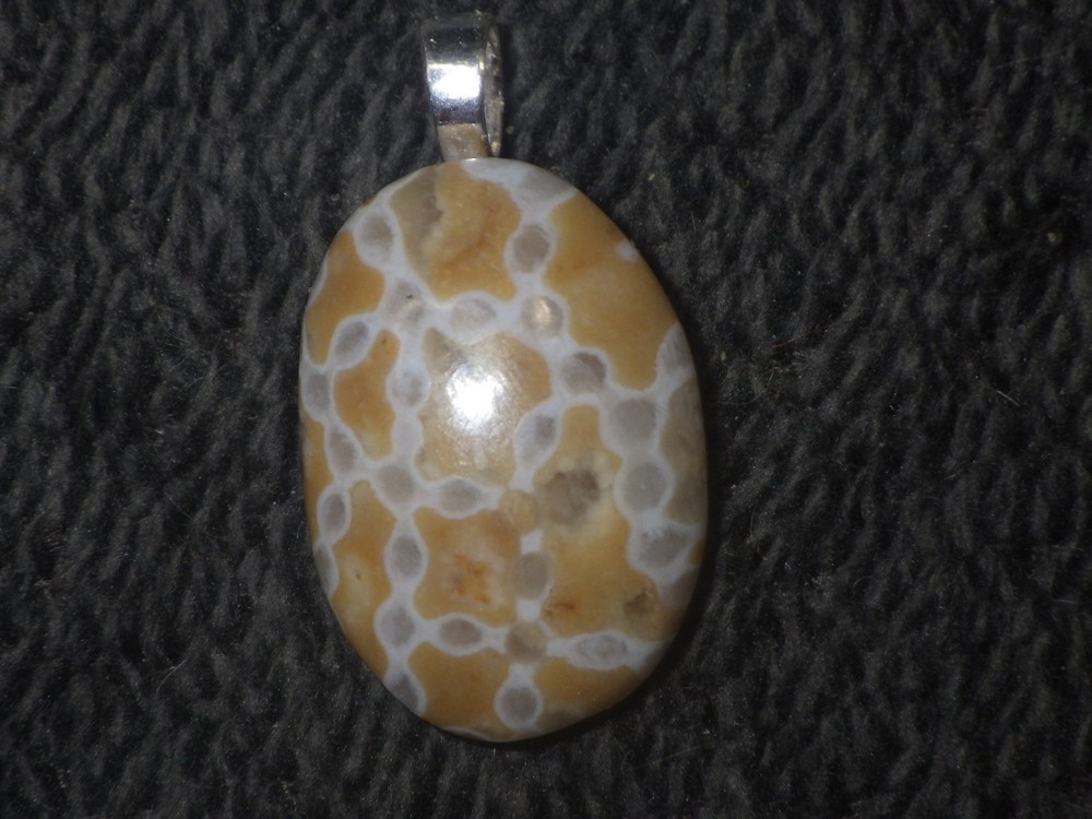 Chain Coral Halysites Pendant