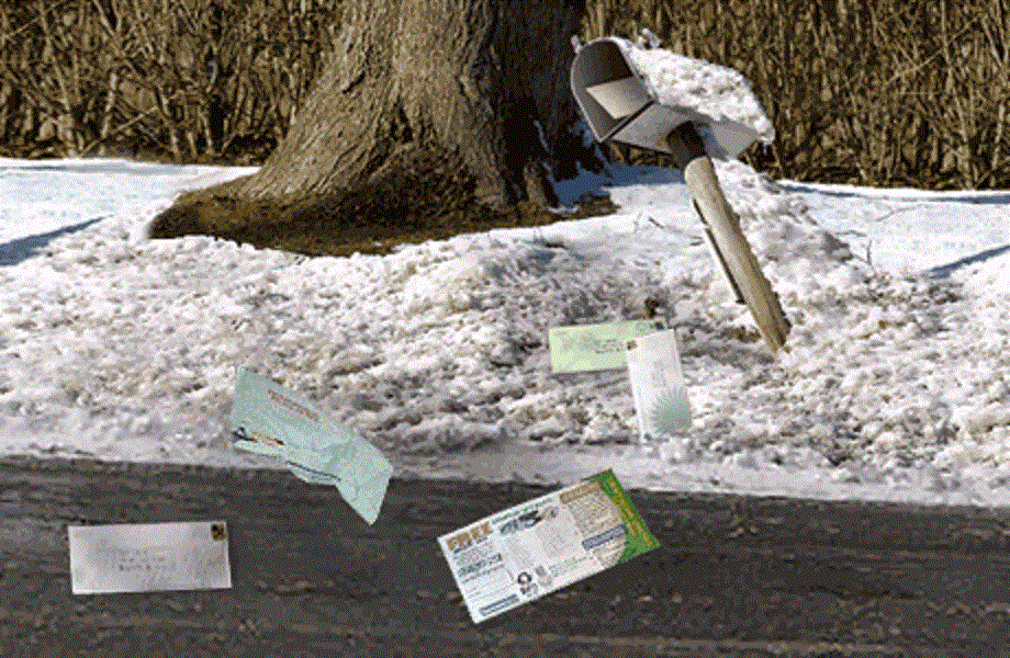 Mailbox Guard Snowplow Protection