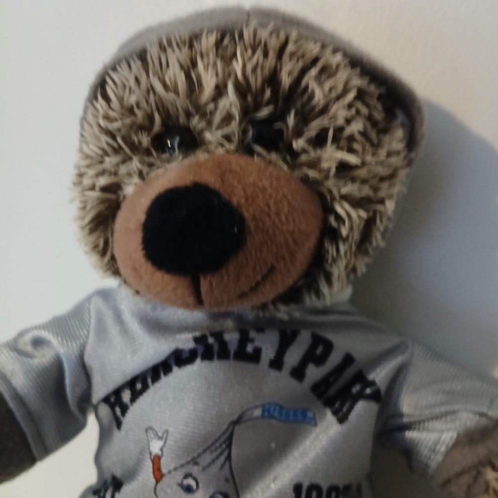 Hershey Park bear from 2015