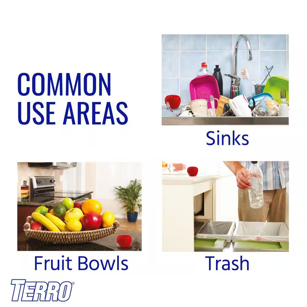 Indoor Fruit Fly Trap, (2-count) , Terro Traps, In Built With Window Sinks...