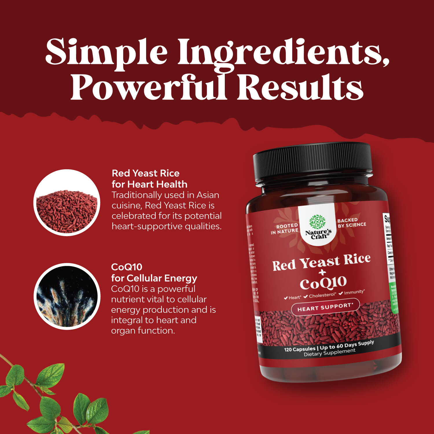 Extra Strength Red Yeast Rice Supplement - Potent 1200mg Per Serving
