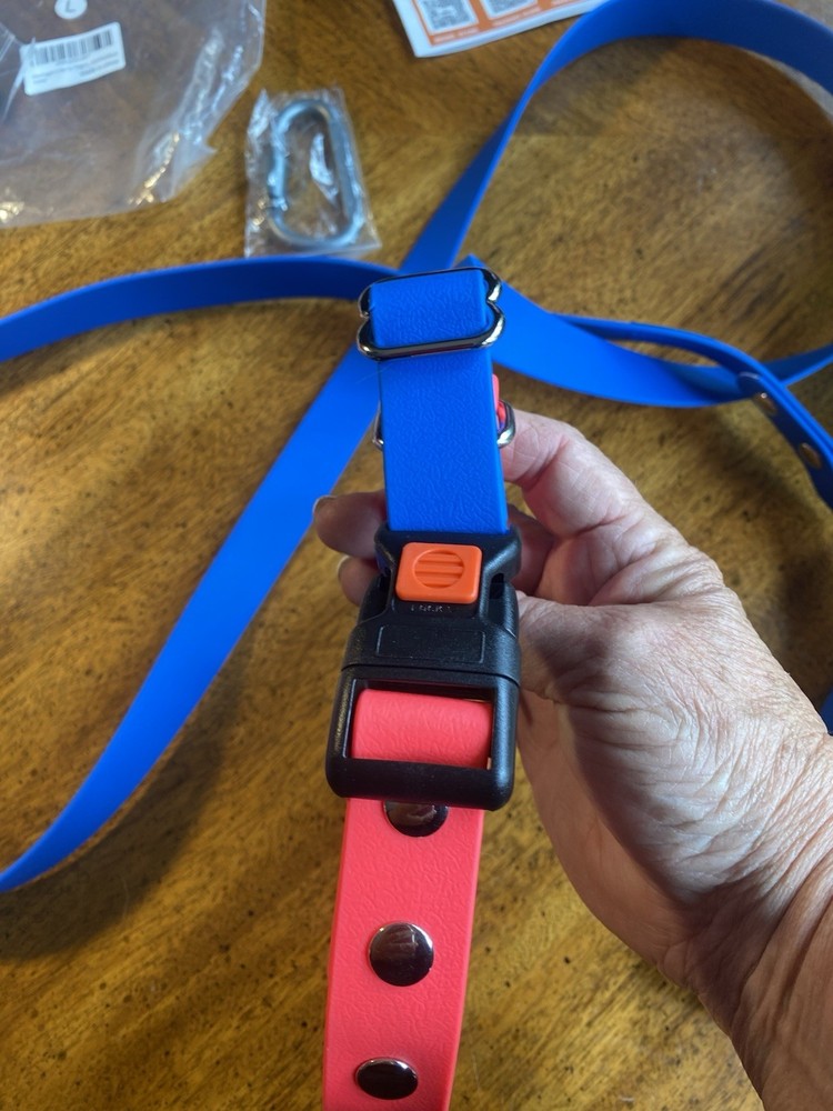 Mayerzon NIP Pronged Training Collar With Attached Leash large