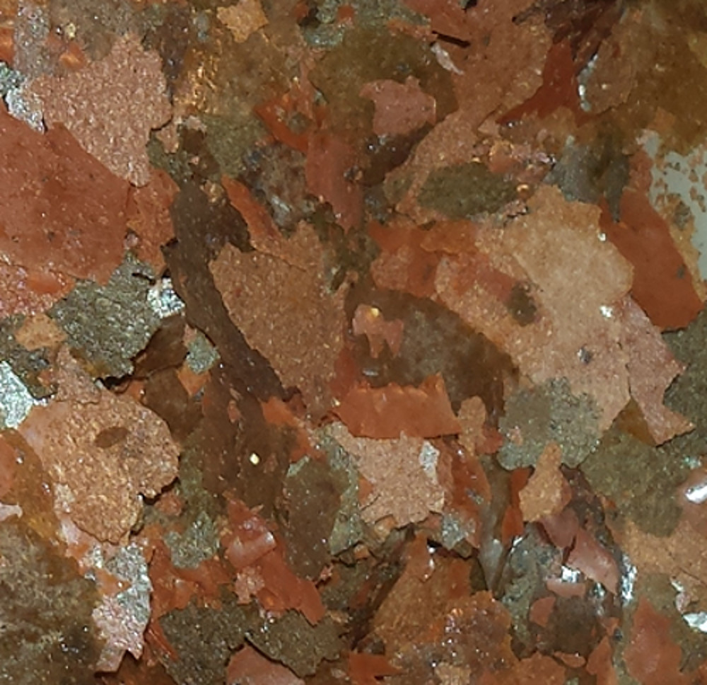 Anti-Parasite Quad-F Flake