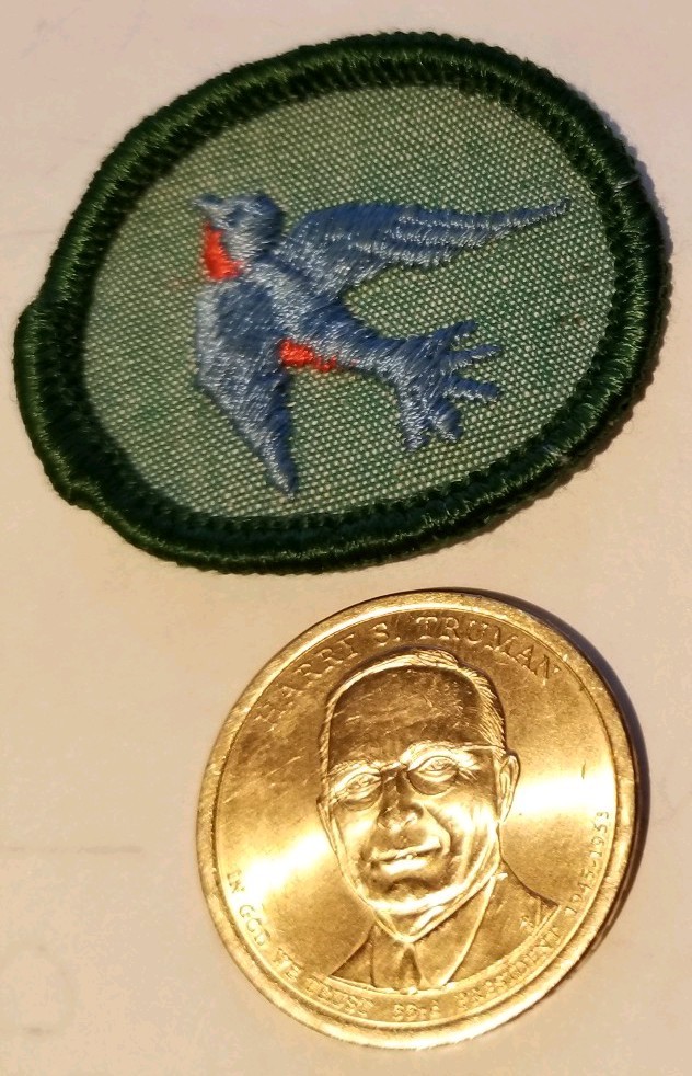 Blue Swallow Patch